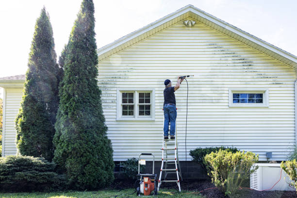 Best Driveway Pressure Washing  in Lakeview, CA